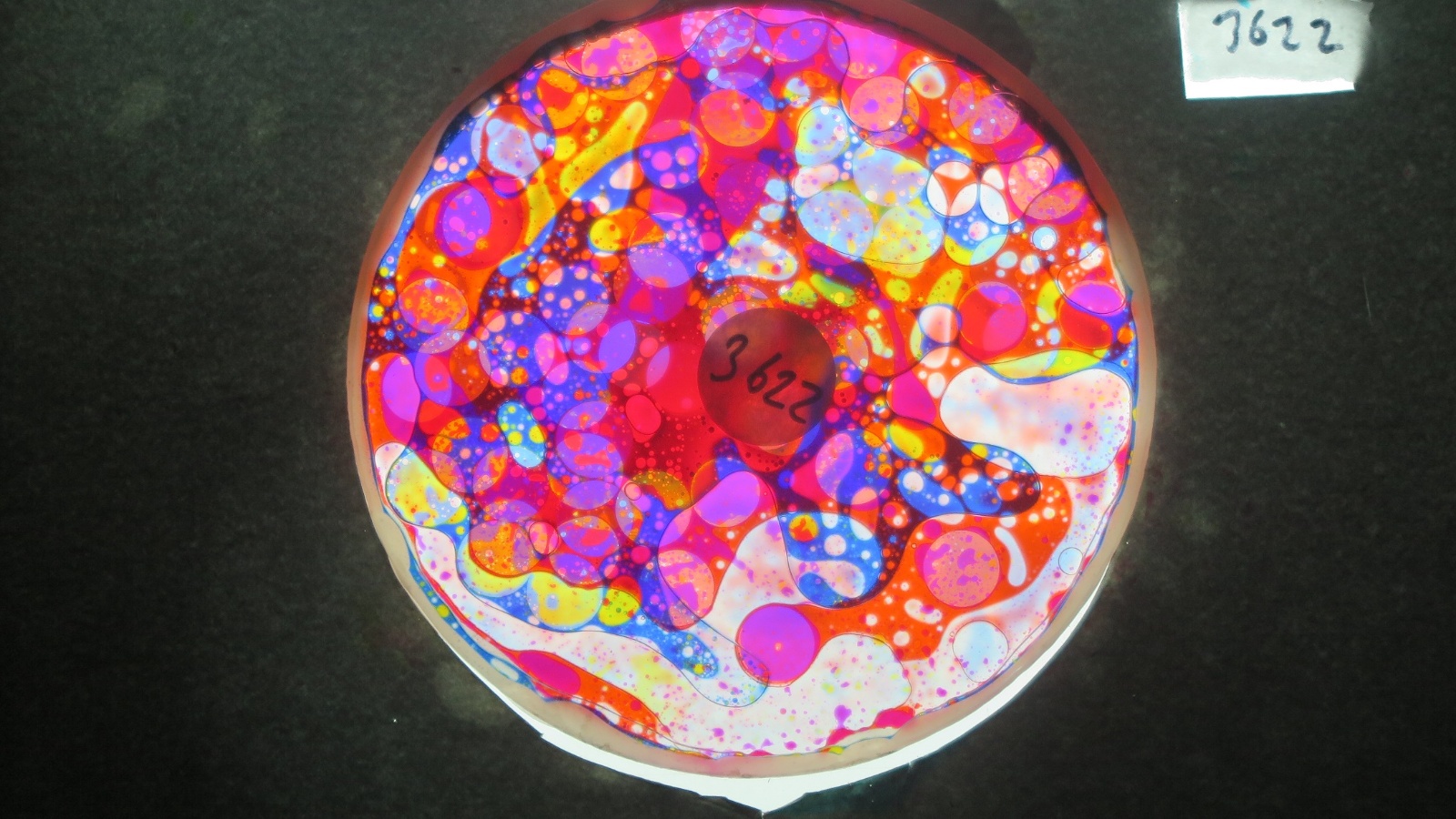 BV3622 bubble vision oil wheel